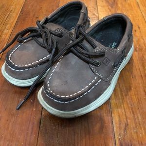 Brown Sperry